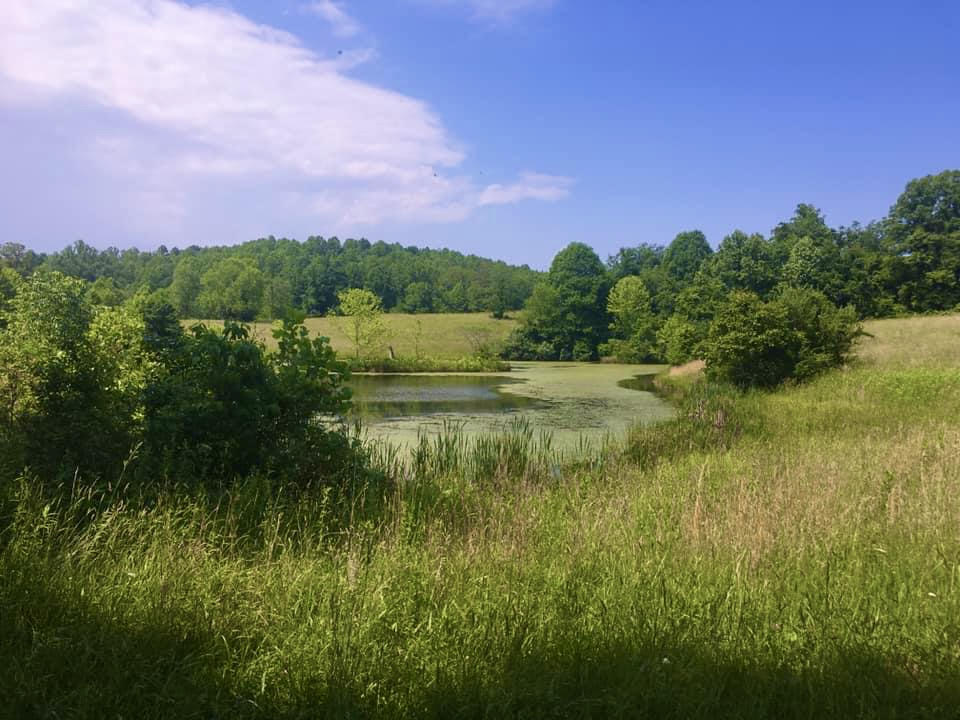 Pleasant Creek Wildlife Management Area - WV Explorers